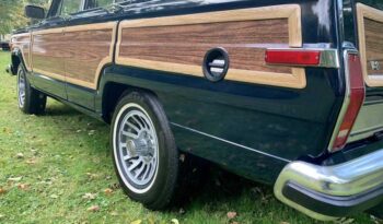 1991 Jeep Grand Wagoneer (25b) full