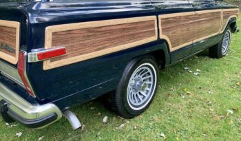 1991 Jeep Grand Wagoneer (25b) full