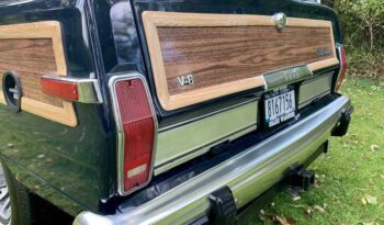 1991 Jeep Grand Wagoneer (25b) full