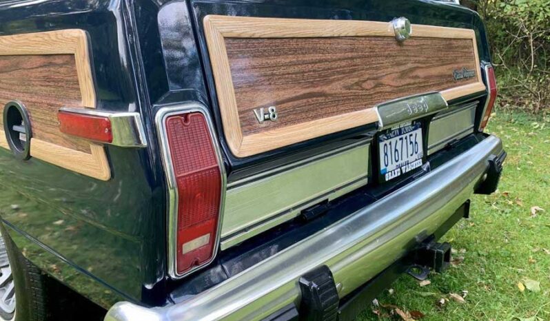 1991 Jeep Grand Wagoneer (25b) full
