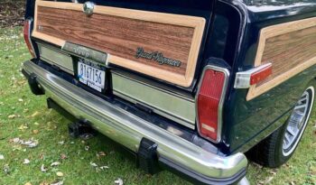 1991 Jeep Grand Wagoneer (25b) full