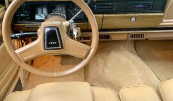 1991 Jeep Grand Wagoneer (25b) full