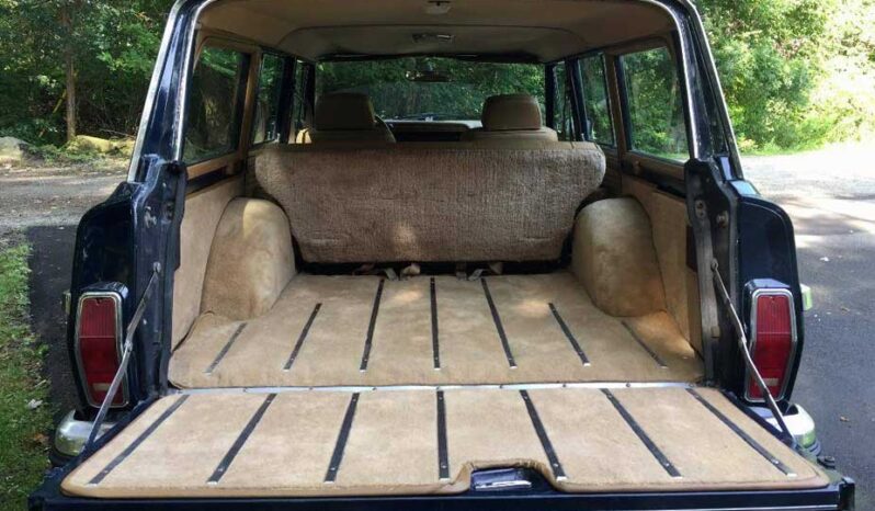 1991 Jeep Grand Wagoneer (25b) full