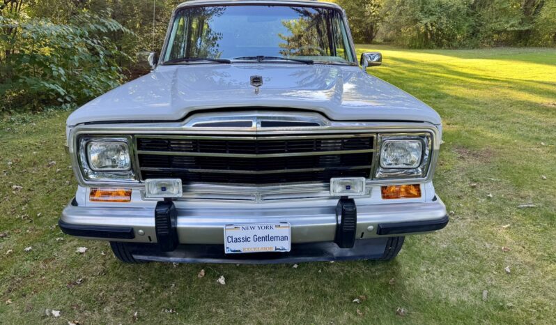1991 Jeep Grand Wagoneer full