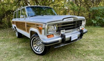 1991 Jeep Grand Wagoneer full
